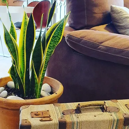 Appartement La Pineta Benidorm